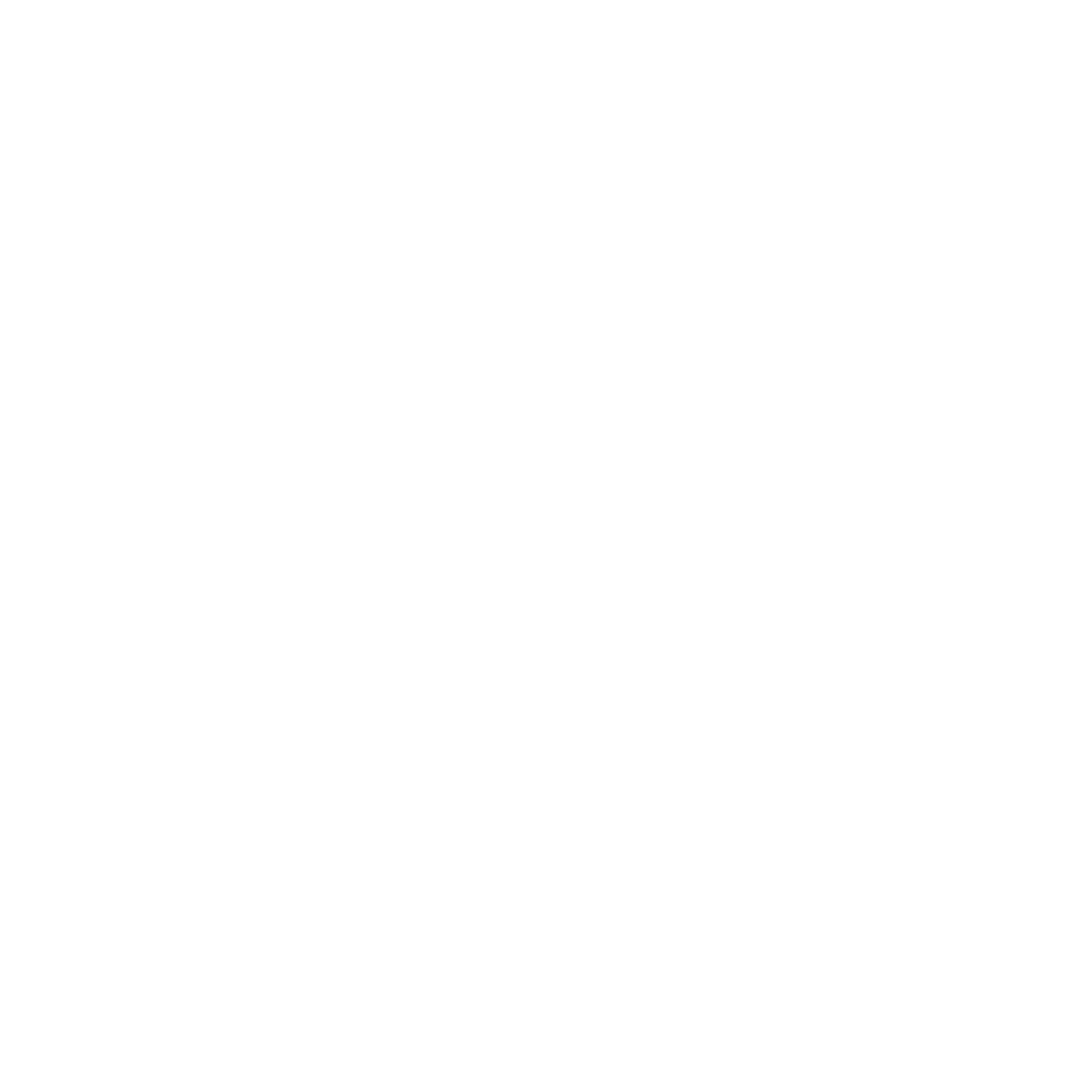 VITTIZE
